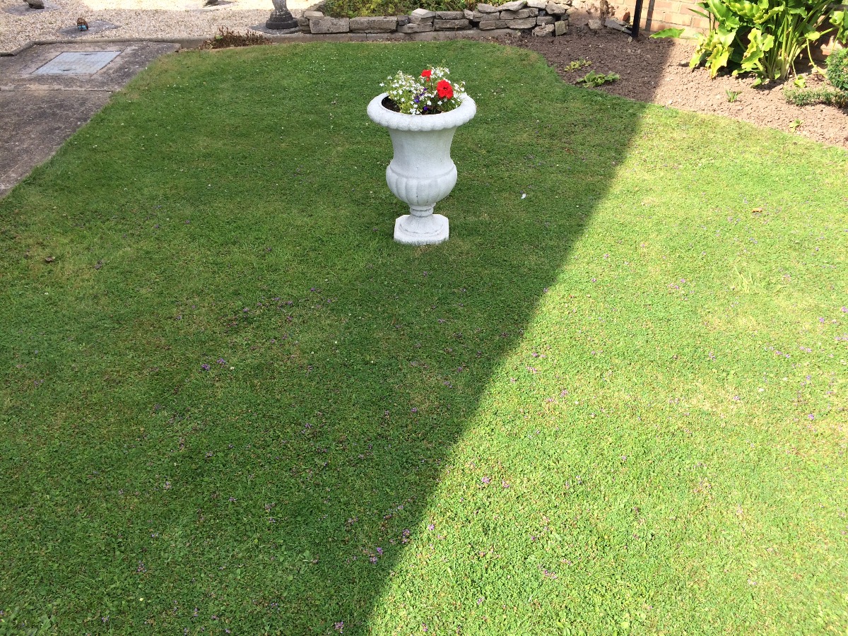 Gardener: Image 38